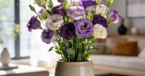 Eustoma wielkokwiatowa: jak o nią dbać, by kwitła w Twoim domu?